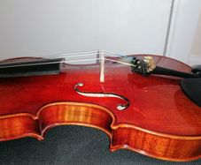 MC Neela Advanced Violin set