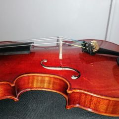 New MC Neela Advanced Violin set