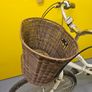 pendelton ladies bike Image 5