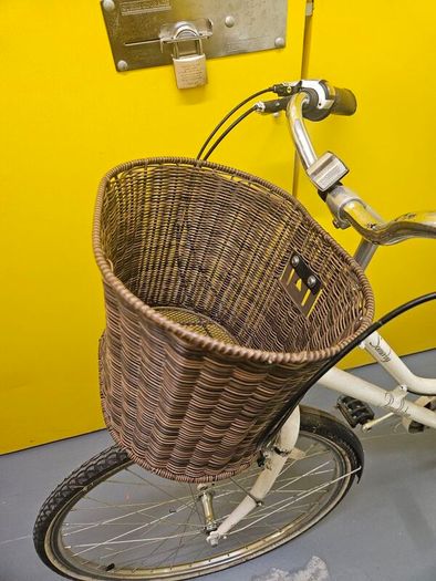 pendelton ladies bike