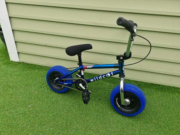 Wildcat Mini BMX
