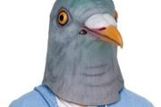 New Fancy Dress Halloween Bird Head Mask Latex Pigeon Animal Cosplay Party Costume