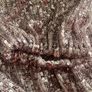 River Island pink sequin top Image 4