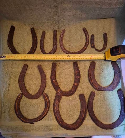 Antique horseshoes