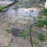 Powerwashing Image 8