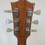 Tokai LS101 Image 10