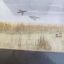 Vintage Flying Mallard Ducks Framed Signed Print. Image 5
