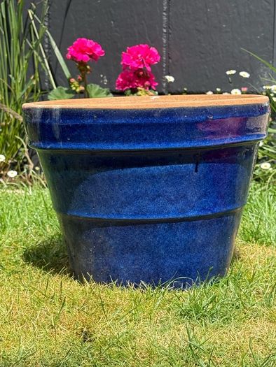 ceramic plant pot(s)