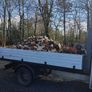 Logs Image 3