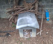 dog house