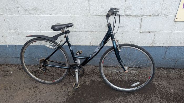 Raleigh Pioneer Metro Ladies Bike
