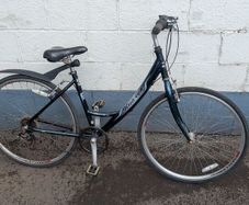 Raleigh Pioneer Metro Ladies Bike