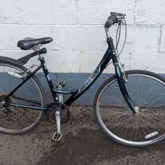 Raleigh Pioneer Metro Ladies Bike