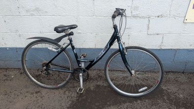 Raleigh Pioneer Metro Ladies Bike