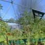 Luxury 5m(16.4ft) Extremely Strong Structure Dome Igloo Glamping for Irish Weather Image 10