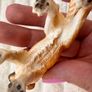 Schleich Farm World Golden Retriever D 73527 approx. 6 cm. tall Used Please see photos Image 10