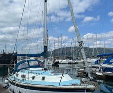 Westerly Konsort for sale