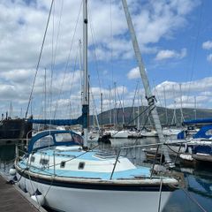 Westerly Konsort for sale