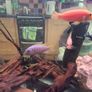 fish tank Image 2