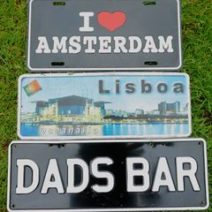 Vintage Wall Decor Car License Plaque Poster (20 each)