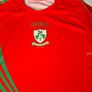 Loughgiel Shamrocks GAA (1915-2015) 100 Year Centenary O'Neills Hurling Jersey (Adult Large) FREE POST Image 2