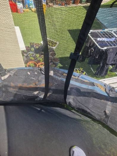 trampoline