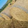 Round hay bales Image 4