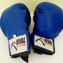 Rival boxing gloves Image 2
