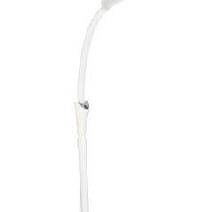 Beauty led lamp