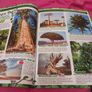 kids magazines x9 Image 3