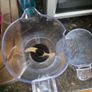 Tommee Tippee Quick Cook  6 in 1 Baby Food Maker Image 7