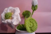 Small crochet lotus flowers nice gift