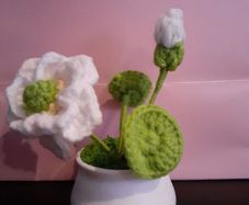 Crochet flowers lotus in pot