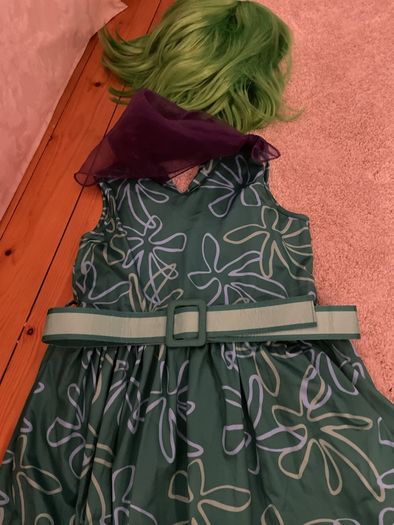Disgust costume age 8-10