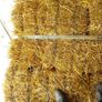 Organic Straw Small Squares Image 6