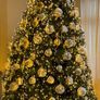 christmas tree Image 3