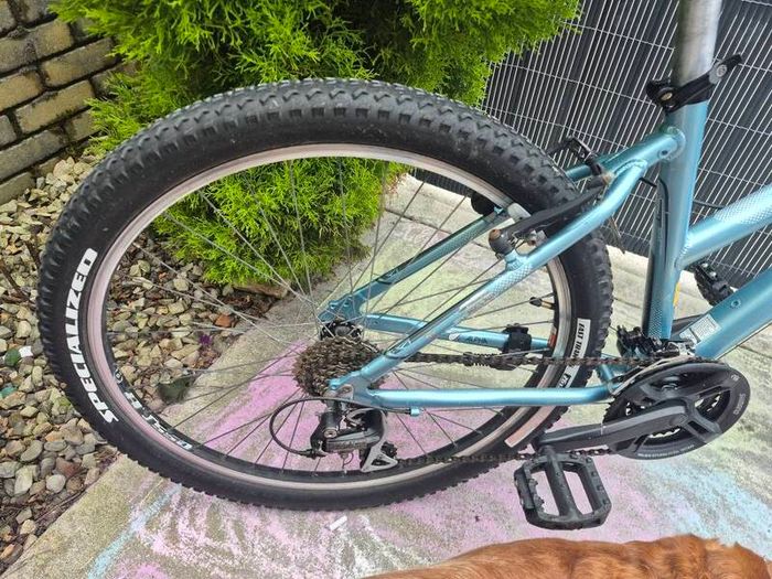 TREK Skye S Mountain Bike
