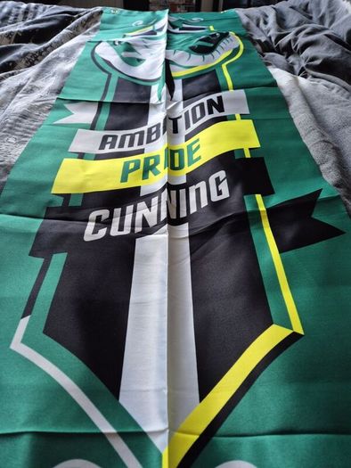Slytherin Banner and Bag