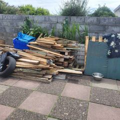 Free Timber