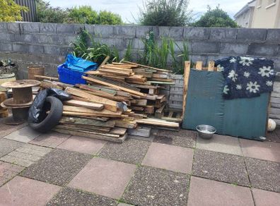 Free Timber