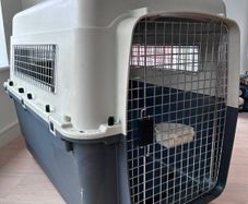 Large IATA Dog Transport Crate 91 cm L x 60 cm W x 74 cm H