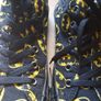 All Star BATMAN  Converse (limited edition) Image 5
