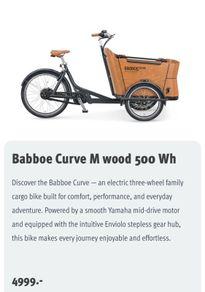 eCargo bike BRAND NEW Babboe Curve Mounrain