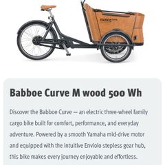 eCargo bike BRAND NEW Babboe Curve Mounrain