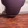 artifort kalm lounge chair Image 8