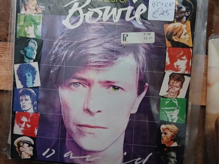 david   bowie