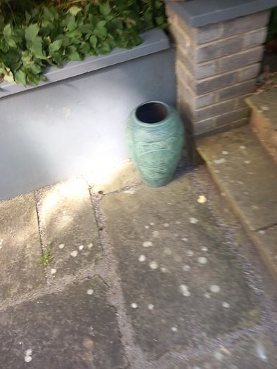 vase