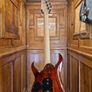 Ibanez Rg460vfm 2013 Image 2