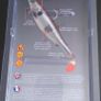 Savage Gear 4D Herring Big Shad 25cm Image 2