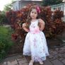 New Girls Birthday Party Princess Dress sz 3-4yrs Image 3